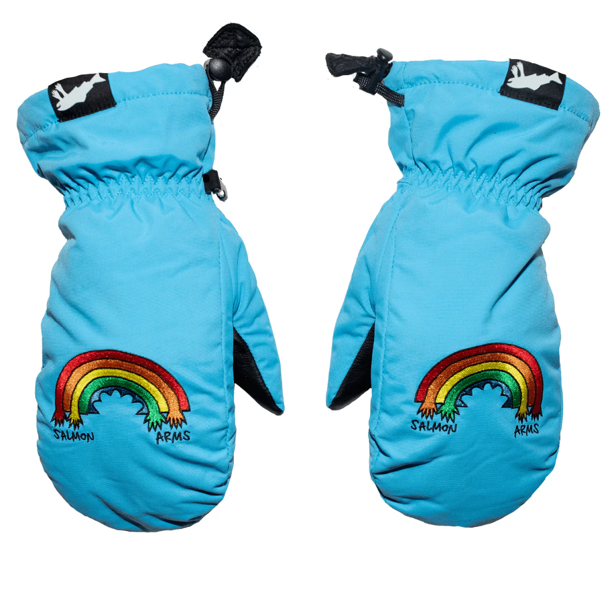Salmon Arms Classic Mitt Rainbow