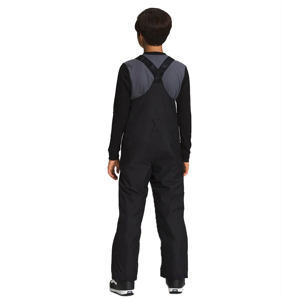 The North Face Freedom Insulated Bib Pant 2023 - Youth - Image 2