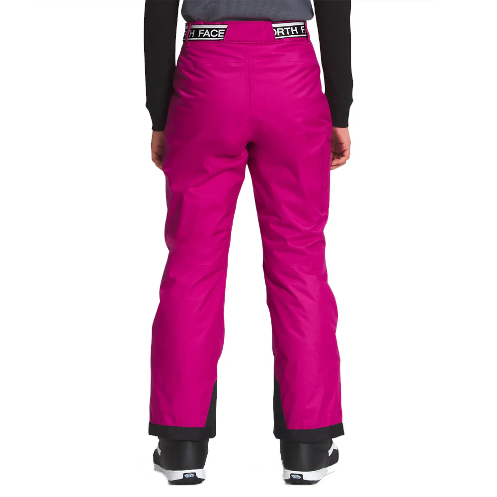 The North Face Freedom Insulated Pant 2023 - Youth - Image 4
