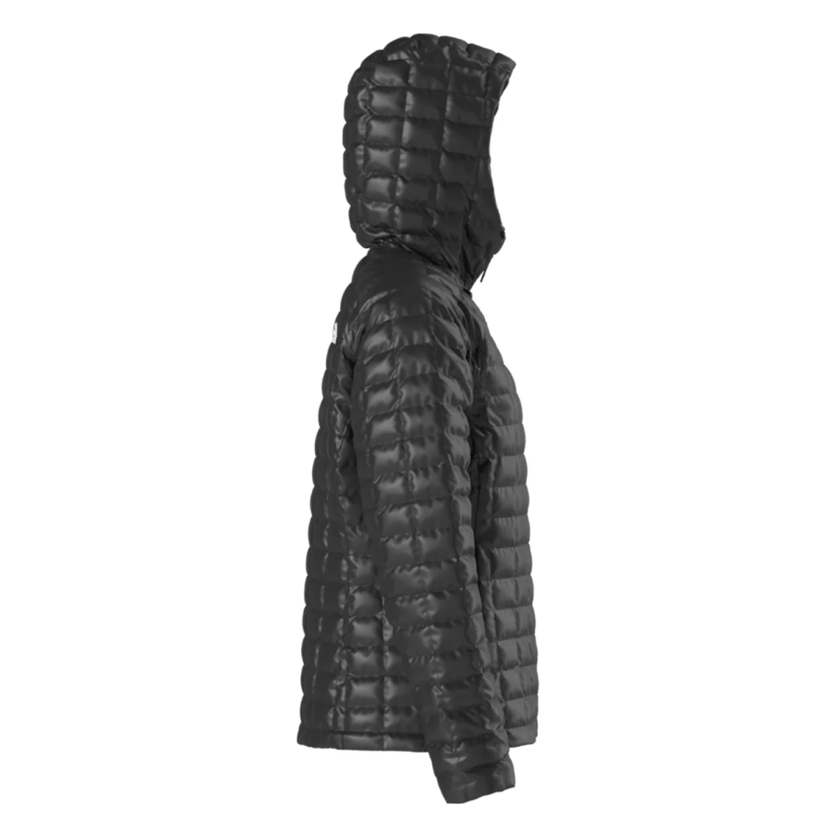 The North Face Women's Thermoball Hooded Jacket 2026 TNF Black - Image 4